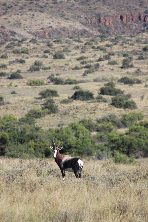 Ko Ka Tsara Bush Camp Villa Beaufort West Kültér fotó